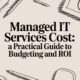 managed it services cost guide cover